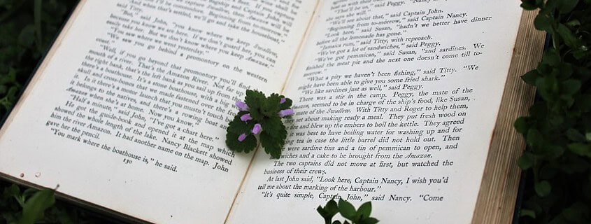 Photo Bengali literature PDFs