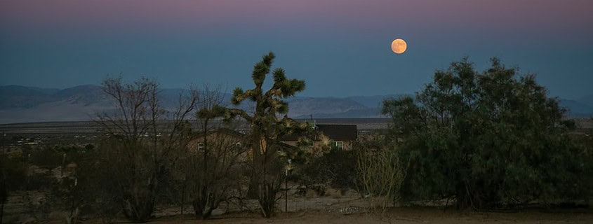 Photo Bookshelves full